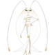 Pheromosa 