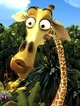 melman the giraffe