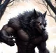 Werewolf Blackturn 
