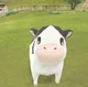 cutesy cow