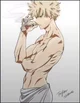 Katsuki Bakugou