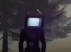 Tv woman 