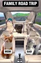 Cat Memes Road Trip