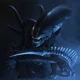 xenomorph