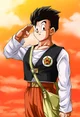Son Gohan