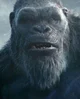King Kong 2024