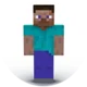 Minecraft player