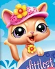 Kitty LPS Wii
