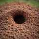 Your anthill 