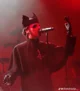 Cardinal Copia