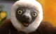 Zoboomafoo