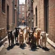 Street Dogs