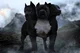 Cerberus 