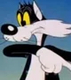 Sylvester the cat
