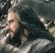 Thorin Oakenshield