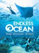 endless ocean rp