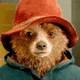 Paddington Brown