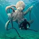 Octopus creature