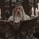 Albus dumbledore