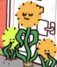 Dandelions