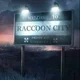 Raccoon City