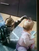Cat n baby