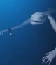 Scary sea creature