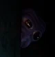 Ao Oni