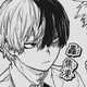 Shoto Todoroki