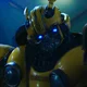 Bumblebee