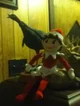 Chatty The Elf