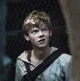 Newt-maze runner