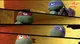 Ninja Turtles 
