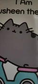 Pusheen
