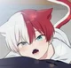 Shoto CatInHeat