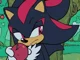 Shadow The Hedgehog