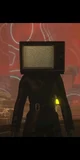 Tv woman
