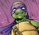 IDW Donatello