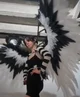 Another Avian