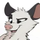 Heather the Opossum