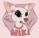 Niki Chihuahua