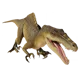 Spinoraptor