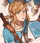 Link BOTW