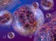 Multiverse 1
