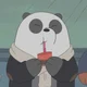 Panda Bear
