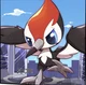 Macro Pikipek