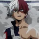 Shoto Todoroki
