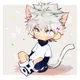 Killua - Neko AU