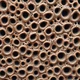 Trypophobia