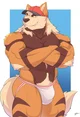 Coach Arcanine